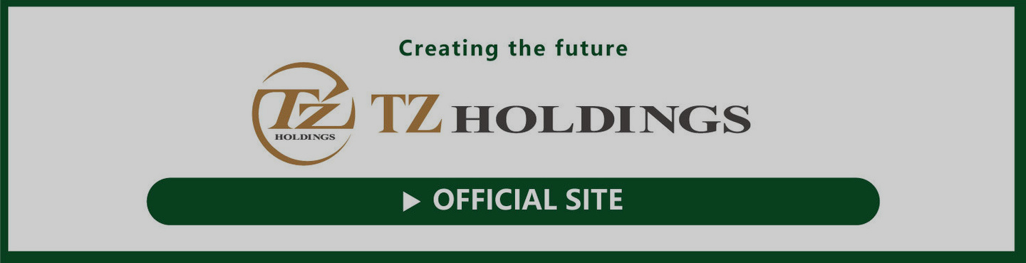 ティーズホールディングス